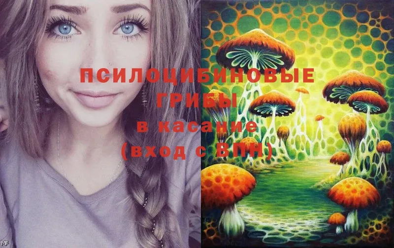 mega ONION  Ржев  Галлюциногенные грибы Psilocybe 